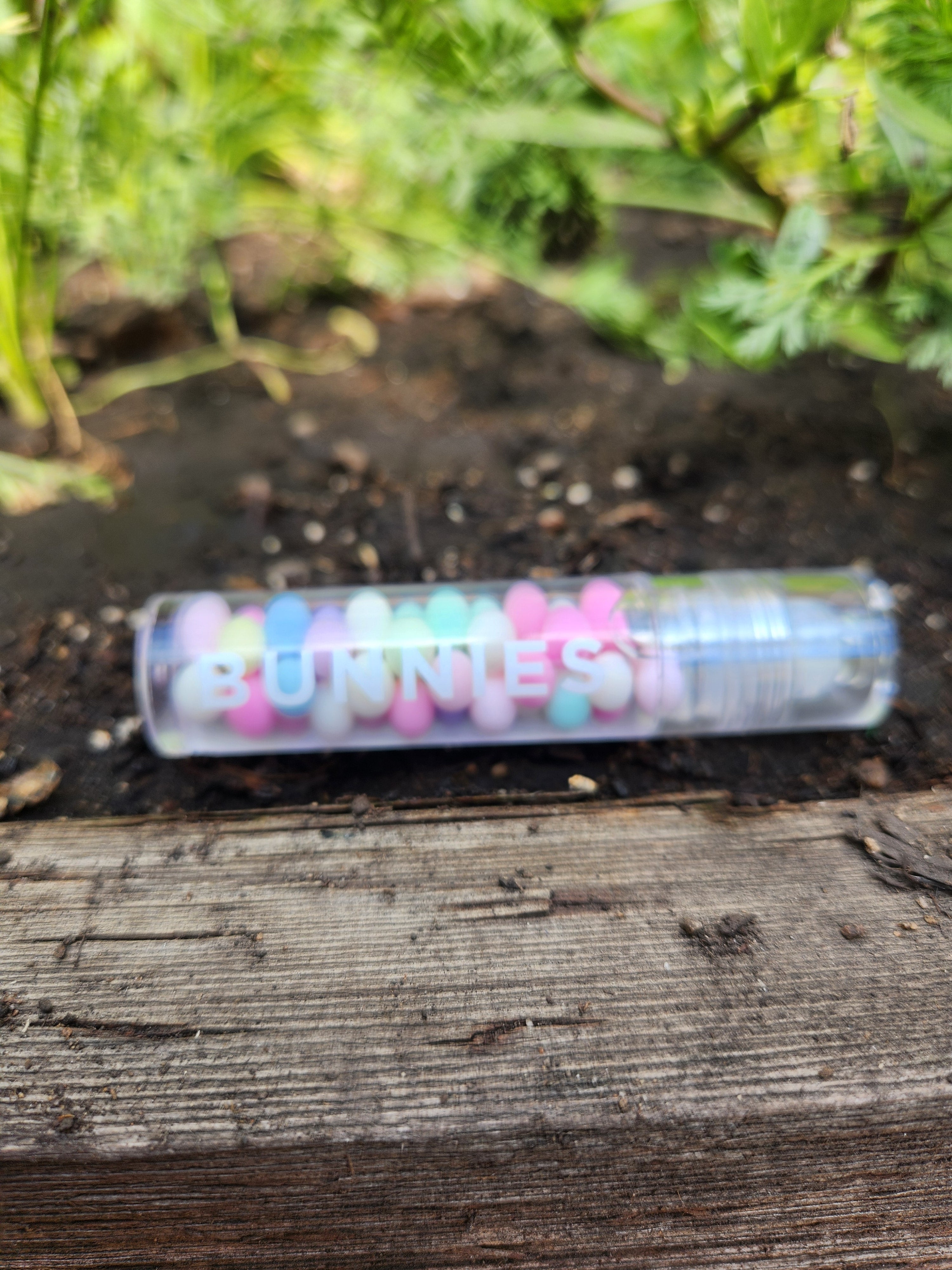 Bunnies Lip Gloss