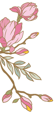 <h2>More Than Cosmetics</h2>