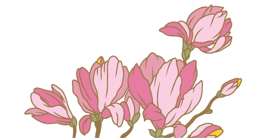 <h2>Bloomie Brushes</h2>
